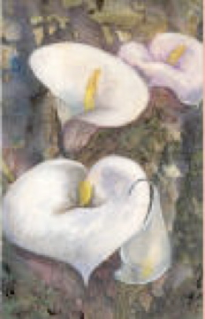 Calla Lilies - Helena Castro Painting