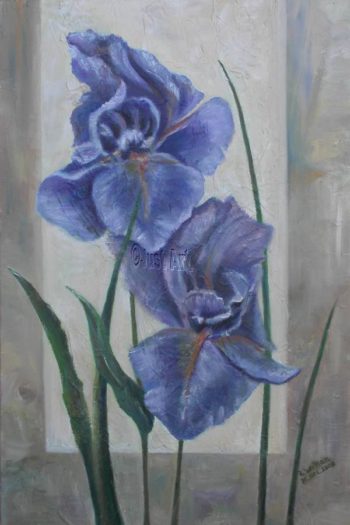 Blue Iris - Rachel Wolman Art