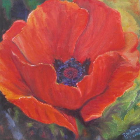 Red Anemone - Rachel Wolman Painting