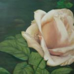 White Rose - Rachel Wolman Art