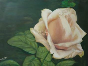 White Rose - Rachel Wolman Art