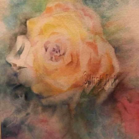 Yellow Rose - Edna Goldstein Art